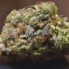 Zkittlez