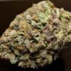 Pink Gangster LSO-Indica