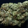 Tropical Runtz-Sativa