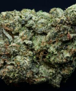Demon Lean-Indica