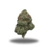 Superman Pink – Indica Bulk Superman Pink – Indica Bulk