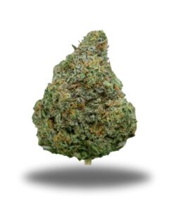 Mac Daddy – Hybrid Bulk