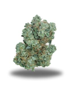Pink Goo – Indica