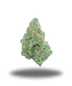 Sex Bomb – Sativa