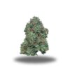 Pink Kush Popcorn Smalls