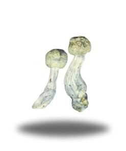 Psilocybin – Smurf AAAA+