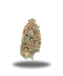 Blue Dream – Sativa