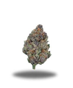 Amnesia Haze – Sativa