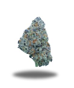 Berry Pie – Hybrid