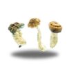 Micro Mushies 7500mg Tablets Micro Mushies 7500mg Tablets