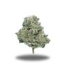 Banana OG – Hybrid