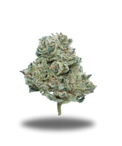 Grease Monkey – Sativa
