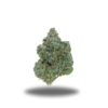 Pink Rockstar – Indica
