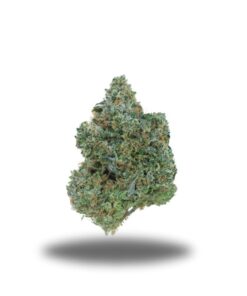 Pink Unicorn – Indica