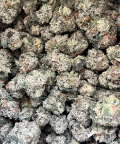 El Chapo Popcorn Smalls – Limited Special