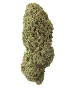 Sour Cookies – Sativa