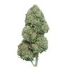 Pink Jedi – Indica