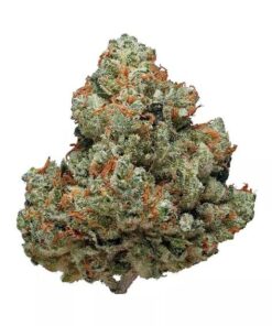 Chem Dawg – Hybrid
