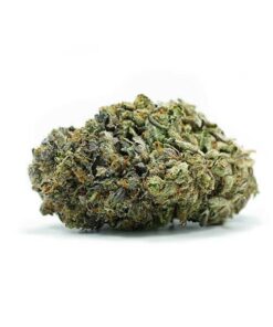 Grandpas Breath – Hybrid