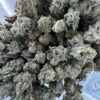Orange Diesel – Hybrid Orange Diesel – Hybrid