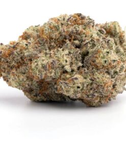 Mac Donut – Hybrid