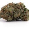 Garlic Sherb – Hybrid