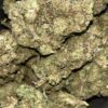 Orange Zest AA – Indica