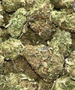 Blueberry OG AA – Sativa