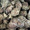 Jungle Mintz AA – Hybrid