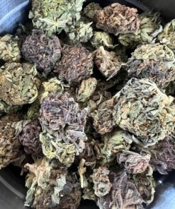 Sensi Shiver AA – Sativa