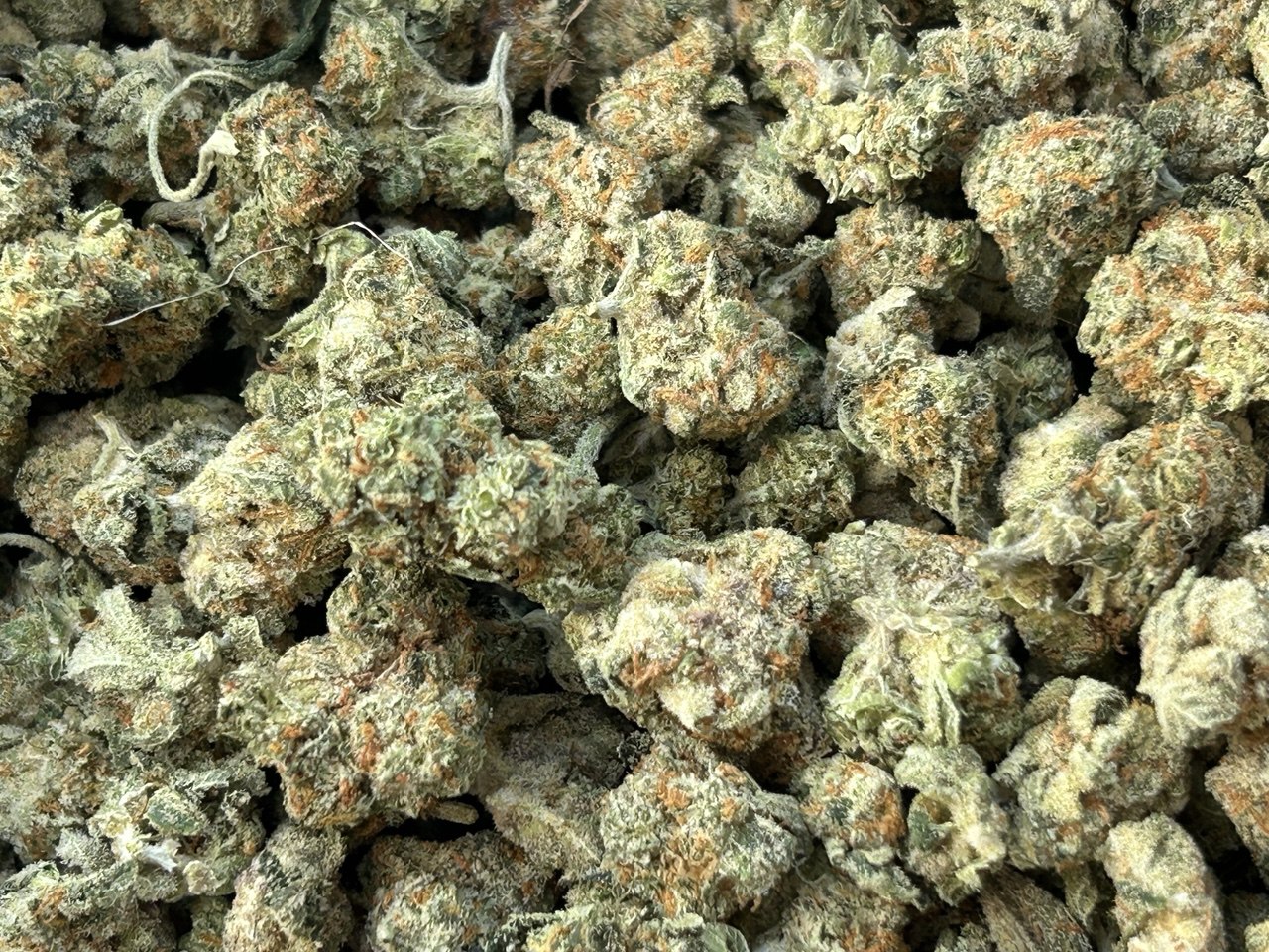 PK Smalls AA – Sativa PK Smalls AA – Sativa