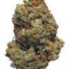 Love Potion – Hybrid *Valentines Special*