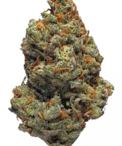 Love Potion – Hybrid *Valentines Special*