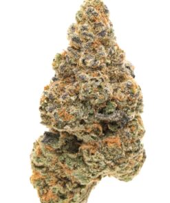 Strawberry Chocolate – Hybrid *Valentines Day Special*