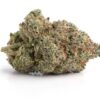 Island Pink LSO – Indica Island Pink LSO – Indica
