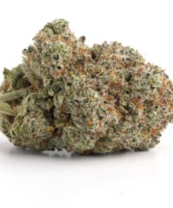 Pink Rockstar LSO – Indica