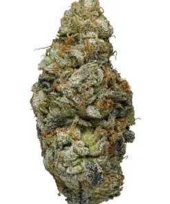 Cali Bricks – Hybrid