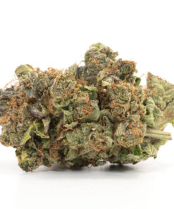 Island Pink Kush