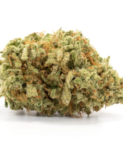 Island Sweet Skunk