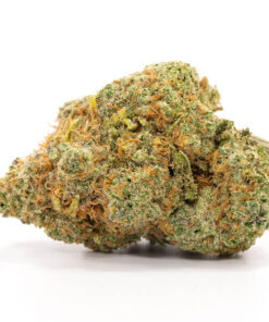 Jack Frost