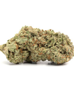 Jack Herer