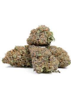 Jack the Ripper