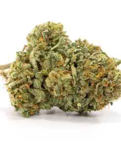 Jamaican