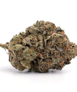 Jet Fuel – Hybrid