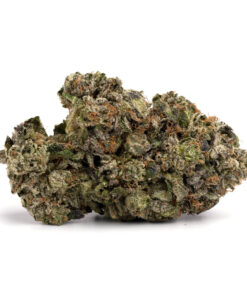 Jet Fuel