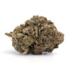 White Widow