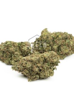 Jet Fuel OG