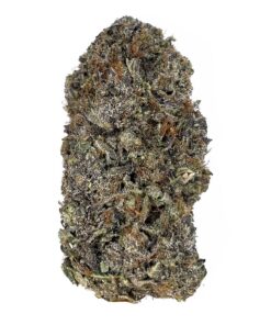 Astro Pink – AAAAA — buy online, same-day weed delivery in Toronto | Tropic Exotic