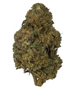 Black Triangle – AA+ – $70/Oz