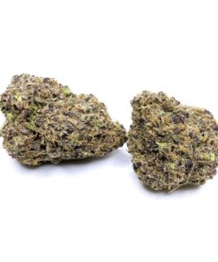 Forbidden Fruit – AAA+